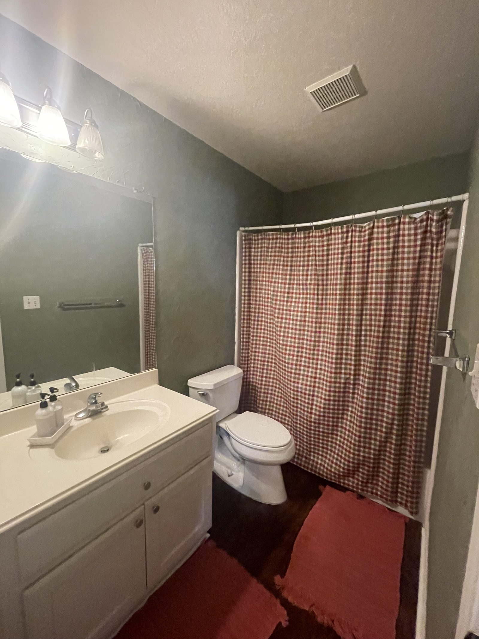 Hall bathroom before, sage walls with a red plaid shower curtain